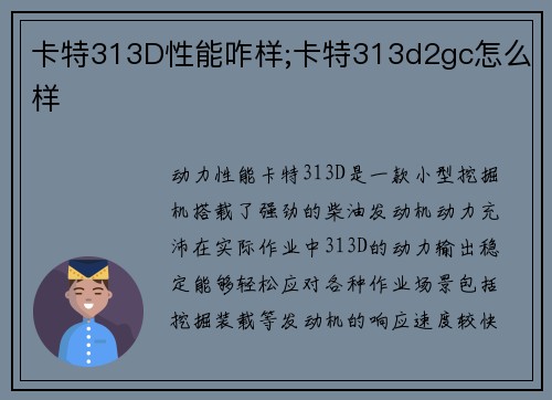 卡特313D性能咋样;卡特313d2gc怎么样